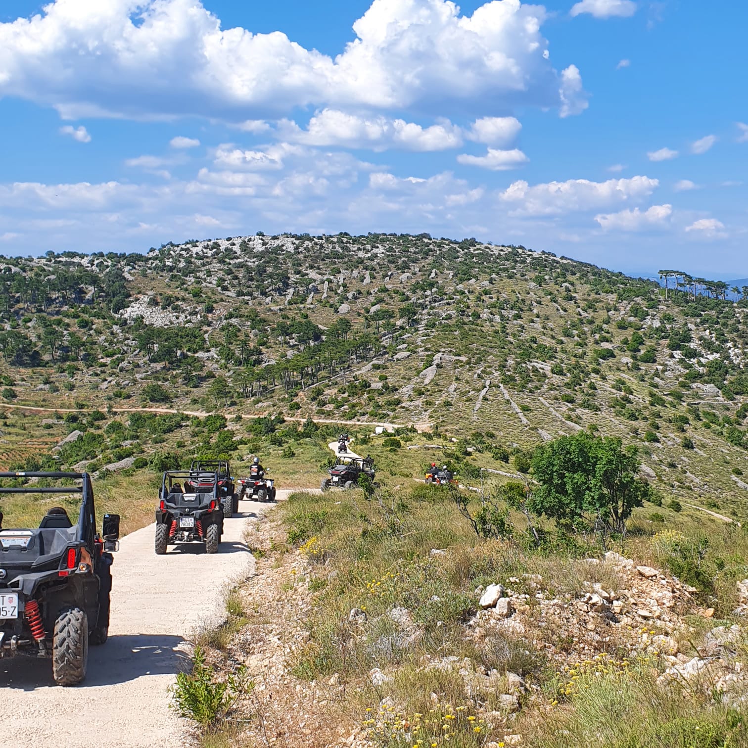 HVAR QUADS